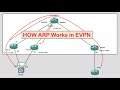 How ARP works in EVPN, Explained with Wireshark and GNS3 LAB. #cisco #ccie #gns3lab #evpn #arp #pcap