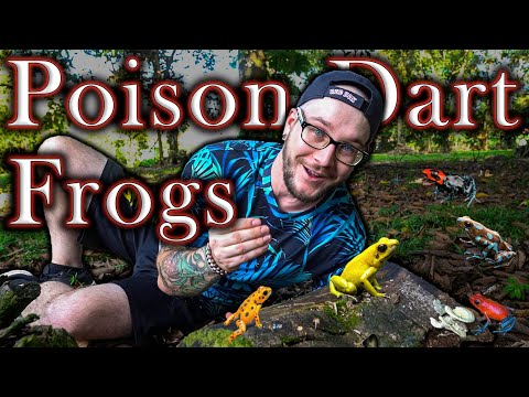 Poisonous Pets |