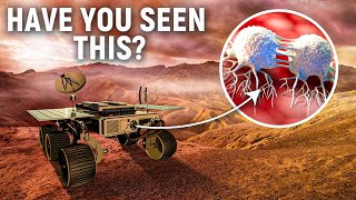 The Evolution Of NASA's Mars Rovers After 25 Years Of Exploration