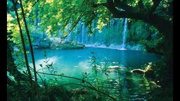 Ruqya Sharia Yaser Al Dosari - رقية شرعية للشيخ ياسرالدسري