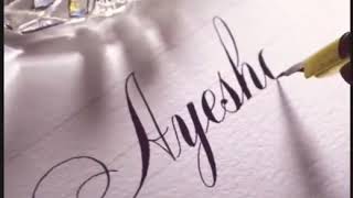 Tiktok 15 Sec Video.