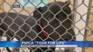 Pennsylvania SPCA's Tour for Life starts Monday