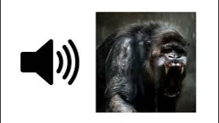 Monster Growl - Sound Effect | ProSounds