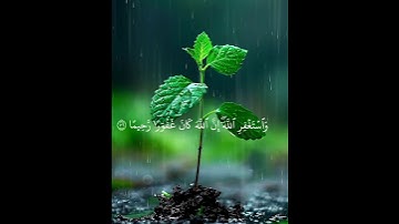 مقاطع قصيرة من القرآن الكريم سورة النساء