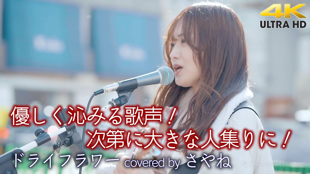 歌うま 】優しく沁みる歌声！次第に大きな人集りに！ ドライフラワー