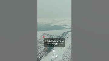 آرح قلبك ❤ سورة الاخلاص بصوت رعد الكردي حالات واتس اب راحة نفسیة