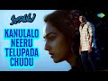 Kanulalo neeru telupada chudu song  kalakarudu  ks chitra