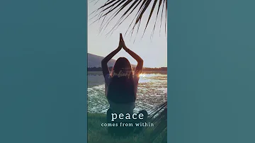 Nature Vibes & Meditation | Peace Comes From Within #NatureSounds #Yoga #YogaSounds #Shorts