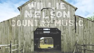 Watch Willie Nelson Freight Train Boogie video