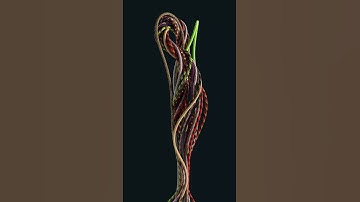 Paracord Material Collection By Greyscalegorilla #Shorts