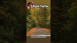 Sevgi̇yi̇ Buldumda Eri̇şemedi̇m /Ferdi̇ Tayfur Şarkilari Resimi