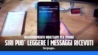 Aggiornamento WhatsApp: Siri può leggere i messaggi ricevuti screenshot 4