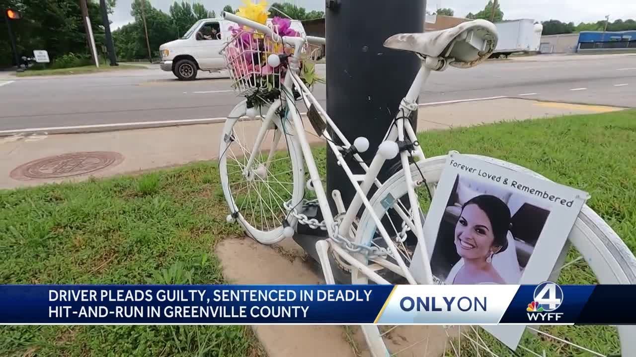 Solicitor speaks after driver pleads guilty to deadly hit and run that ...