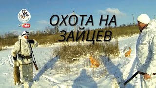 Охота на зайцев