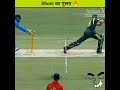 Dhoni     dhoni angry cricket  top 5 shorts cricket