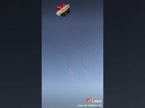 اكبر طائره ورقيه في مصر