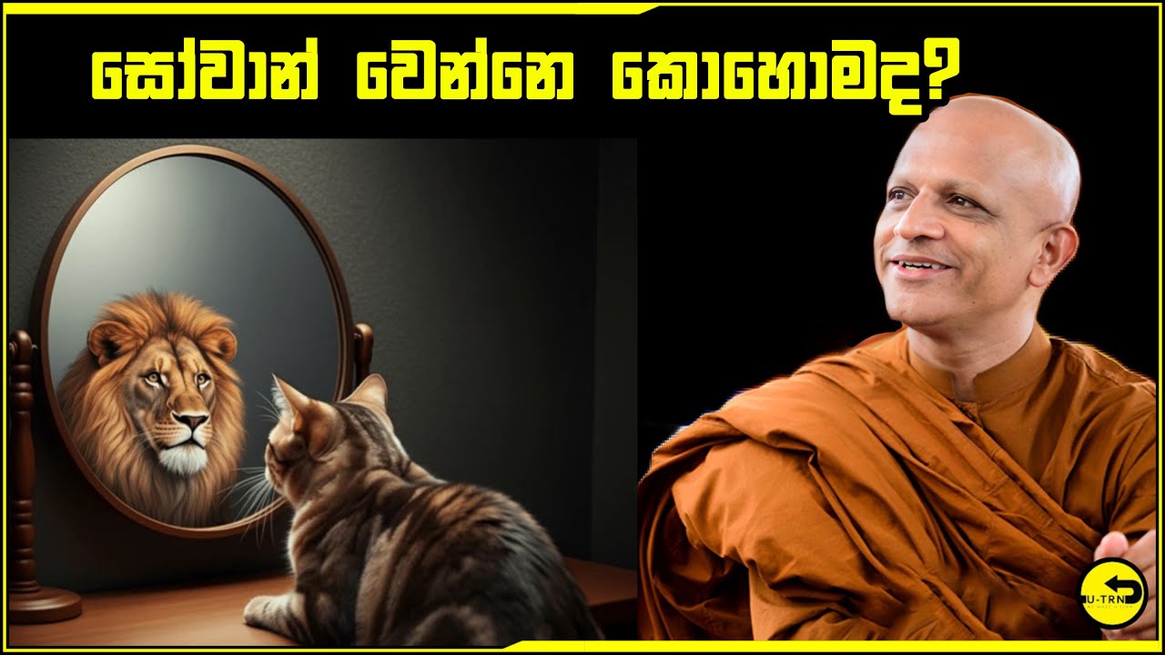 සොවාන් වෙන්නේ කොහොමද​ කියා හෙලිකල මගපල ලාභී භික්ශුව​-walasmulle abhaya thero
