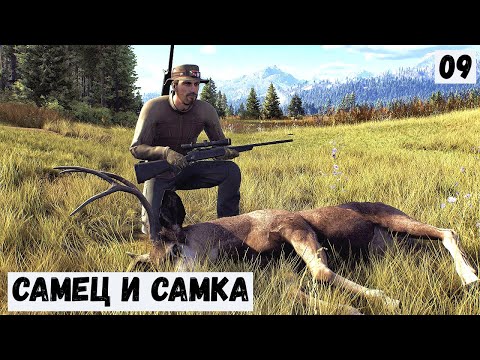 Видео: ОХОТА НА БЕЛОХВОСТИКА  - Way of the Hunter # 09