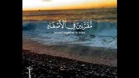 تلاوه خاشعه | يَومَ تُبَدَلُ الاَرَضُ غَيَرالاَرضِ والَسَمَاواَتُ | بصوت القارئ انس الميمان