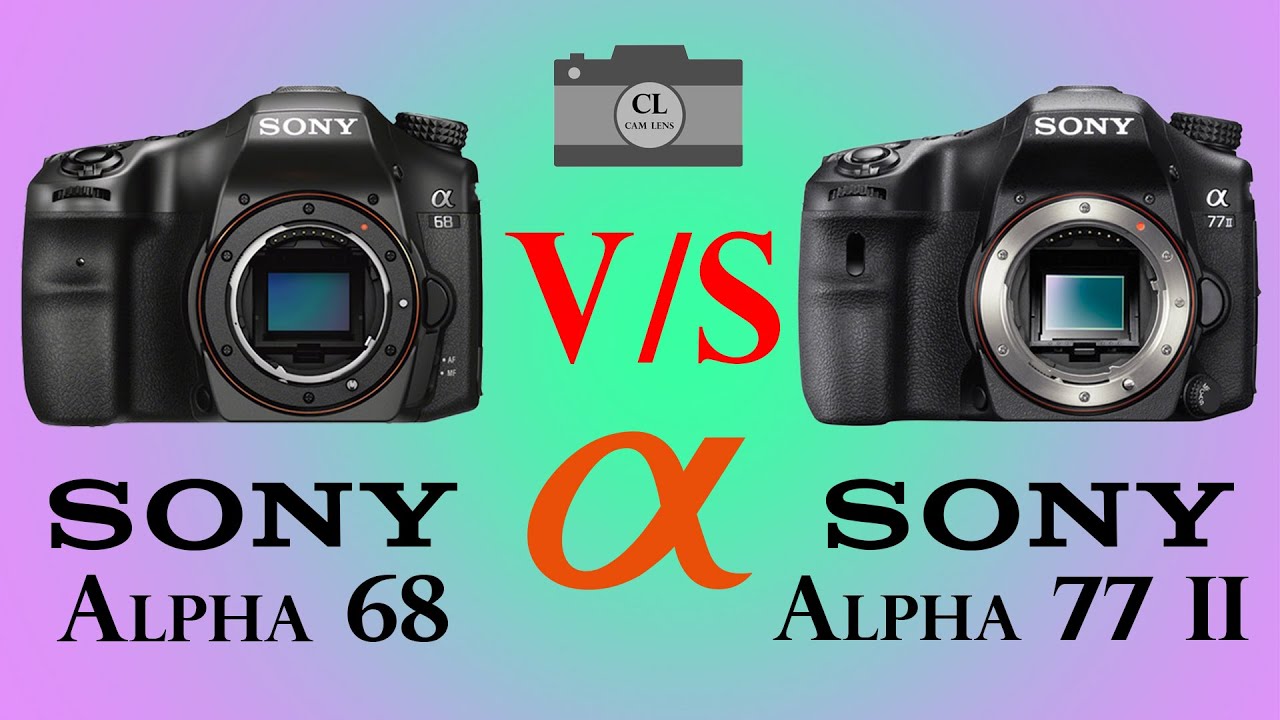 Sony Alpha 77 et bruit électronique - Les Numériques