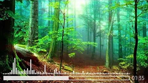 / Aurora In The Forest (Neal K) - Neal K Piano /