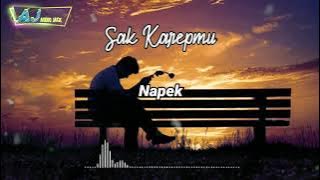 Sak Karepmu - Napek (Lirik Lagu)