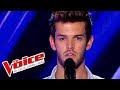 Emmanuel moire  sois tranquille  florent torres  the voice france 2013  blind audition