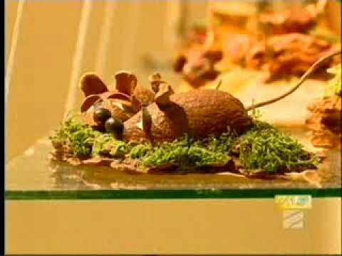 მზია ნახუცრიშვილის ნამუშევრების პერსონალური გამოფენა