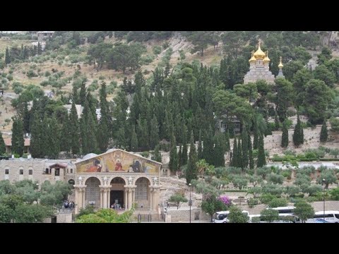 Video: Kalvarijos Kalnas. Jeruzalė - Alternatyvus Vaizdas