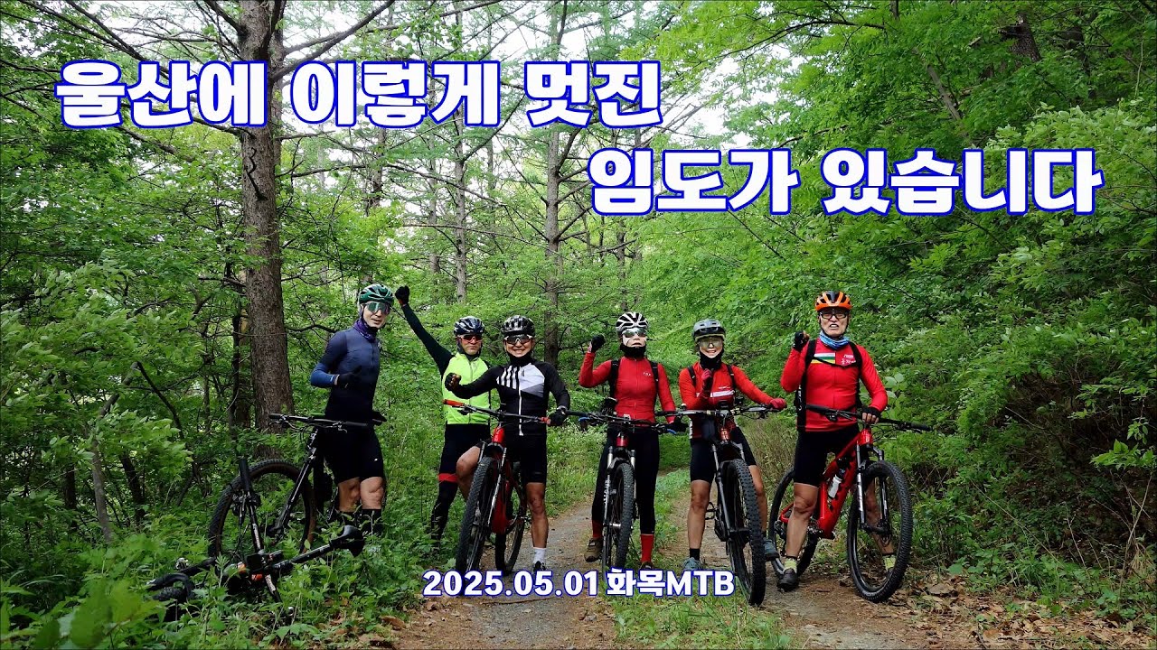 울산에 이렇게 멋진 임도가 있습니다 2025. 05. 01