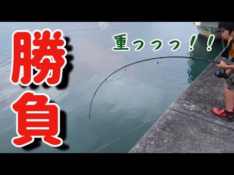 豪快 6歳釣りガール初めてのエギング Shorts Youtube 豪快 6歳釣りガール初めてのエギング Shorts Youtube