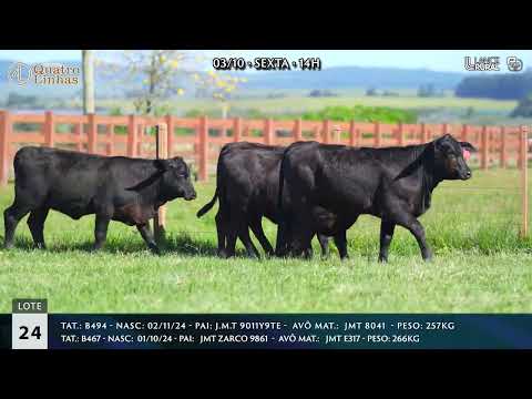 LOTE 024