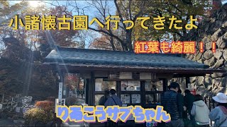 紅葉満点 信州の遊園地 小諸懐古園へ行ってきたよー Youtube 紅葉満点 信州の遊園地 小諸懐古園へ行ってきたよー Youtube