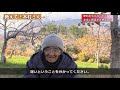 【自然栽培】肥料を与えなくても本当に野菜は育つの？【木村秋則さん】