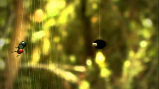 Minuscule s05e07