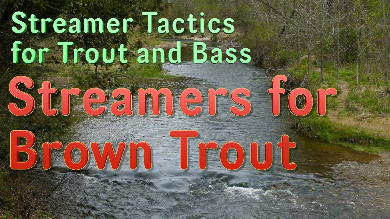 Streamer Tactics for Trout and Bass: Streamers and Bucktails for