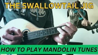 The Swallowtail Jig - Irish Mandolin Lesson with easy fiddle accompaniment