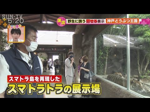 「神戸どうぶつ王国」の佐藤哲也園長に密着