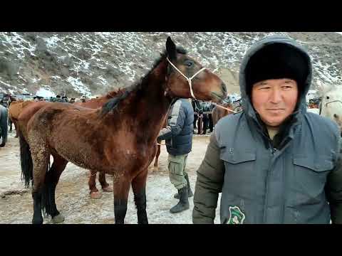 Video: Чөпкө токтотконго болобу?