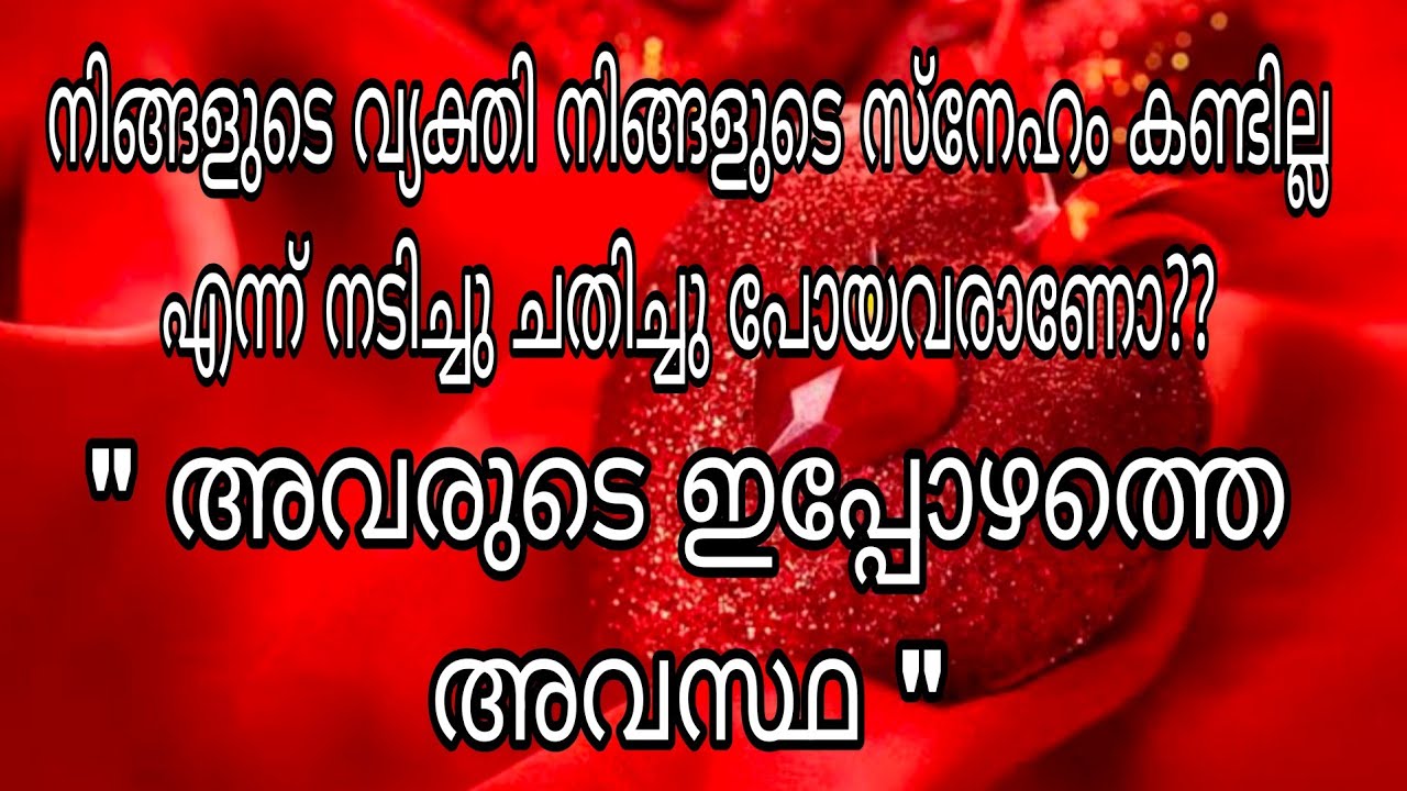 നിങ്ങളുടെ ഹൃദയം തകർത്തു പാതി വഴിയിൽ പോയവരുടെ ഇപ്പോഴത്തെ അവസ്ഥ ✨✨