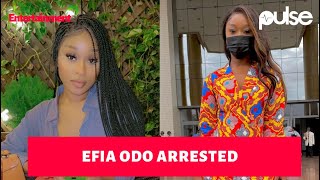 Efia Odo arrested after #FixTheCountry hearing