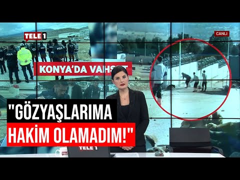 Video: Hayvan Barınağı Yönetmeni, Suçluluk Üzerine İntihar Etti