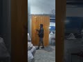 Video Image