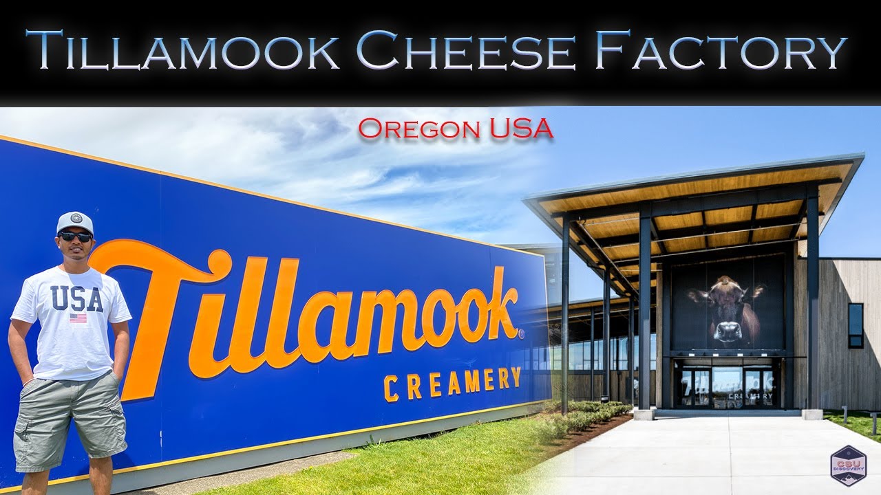 Tillamook Creamery Cheese Factory YouTube