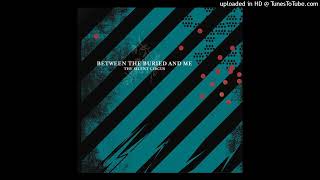 Between The Buried And Me – The Need For Repetition