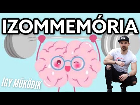 Videó: Mi Az Izommemória