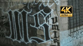 Florida's Most Notorious Housing Projects: Gangs, History & Urban Legends