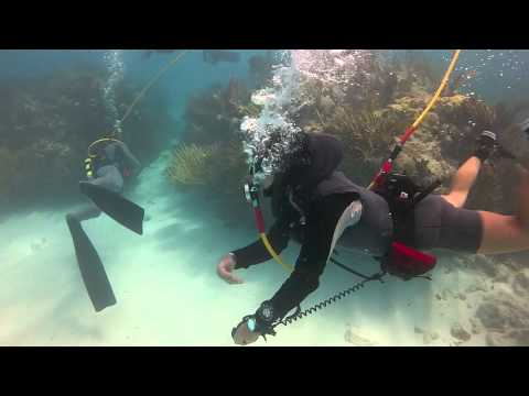 Divers Direct Demo Day May Long Version-11-08-2015