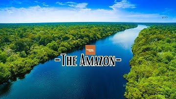 The Amazon Rainforest : Exploring the Lungs of the Planet || The World’s Largest Tropical Rainforest