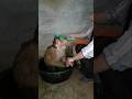 Viral Video SokYaa OG To To And Mom Are Famous Amazing Shorts Viral Video SokYaa OG To To And Mom Are Famous Amazing Shorts